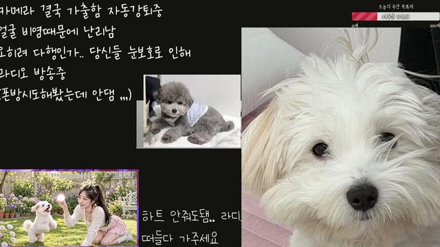 도하린ෆ님의 방송입니다