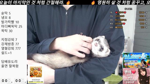 맞방,헤븐) 킹유아 여기있어요