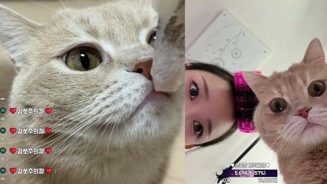 ❤️김쏘주❤️님의 방송입니다