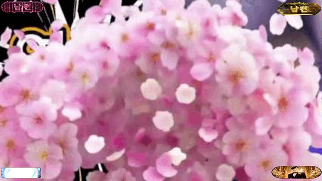 [BB2]저시커❤️남편™님의 방송입니다