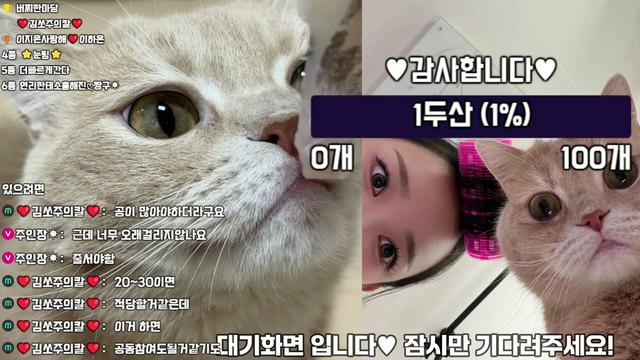 안냥 나는 기욤이 딜러 쏘주❤