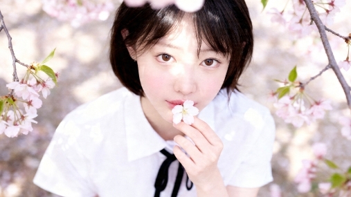 채화채화